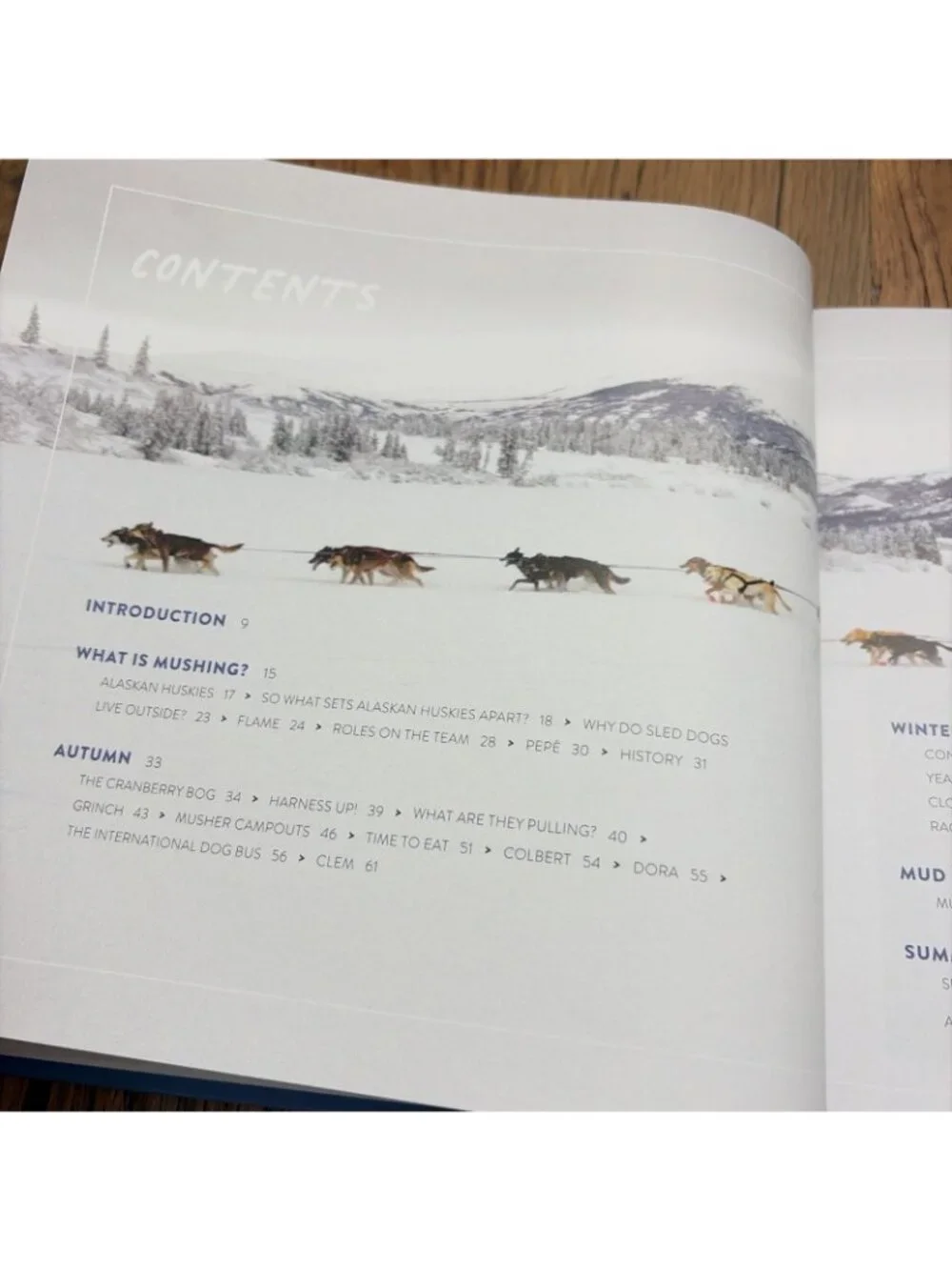 Dogs On The Trail Blair Braverman & Quince Mountain Hardback New Coffee Table